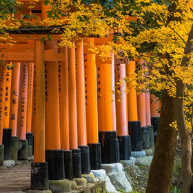 從大阪出發，伏見稻荷大社、嵐山、清水寺一日遊（大阪出發）
Photo: (Klook)