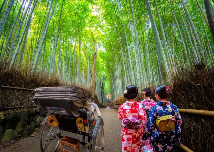 교토 아라시야마 여행중 대나무숲(죽림)을 구경하는 팁 정리! 인력거와 기모노 체험도!