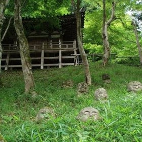 Private Walking Tour in Bamboo Forest & Hidden Spots in Arashiyama
(Image: Viator)