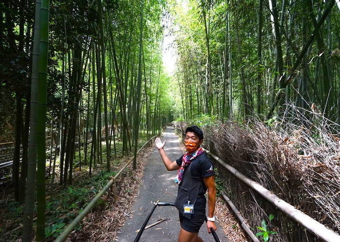 保存版 京都嵐山竹林小徑攻略 周邊景點 推薦的玩樂方法 Live Japan 日本旅遊 文化體驗導覽