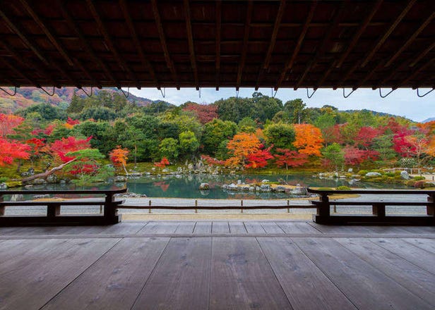 Guide to Tenryuji: Most Popular Attraction in the Arashiyama Area!