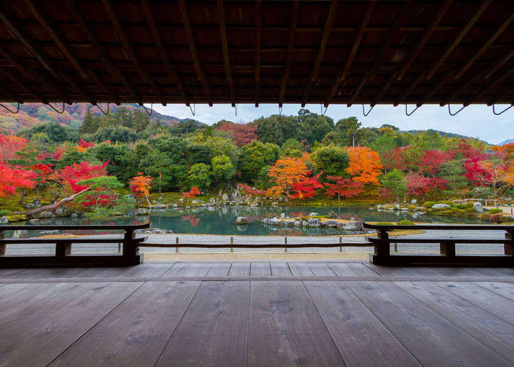京都・嵐山「天龍寺」ガイド！美しい庭園や龍の天井画など見どころを徹底解説