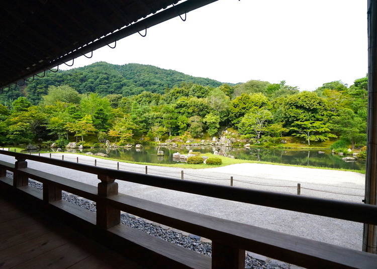 京都天龍寺的參拜時間和入場費