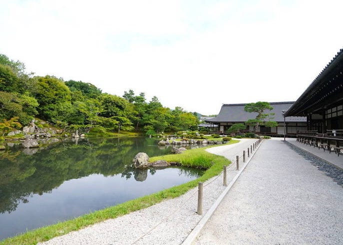 保存版 京都天龍寺攻略 交通方式 參拜時間 入場費 寺內景點等 Live Japan 日本旅遊 文化體驗導覽