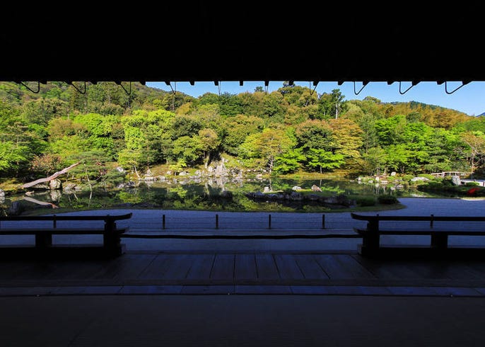 保存版 京都天龍寺攻略 交通方式 參拜時間 入場費 寺內景點等 Live Japan 日本旅遊 文化體驗導覽