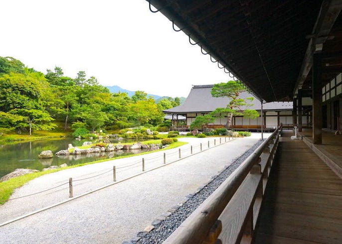 保存版 京都天龍寺攻略 交通方式 參拜時間 入場費 寺內景點等 Live Japan 日本旅遊 文化體驗導覽