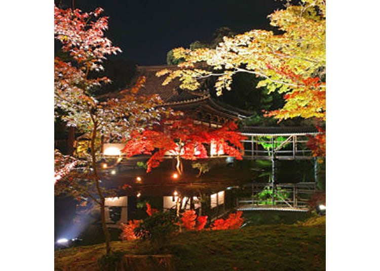 【高台寺】臥龍池に映る紅葉が美しいお寺