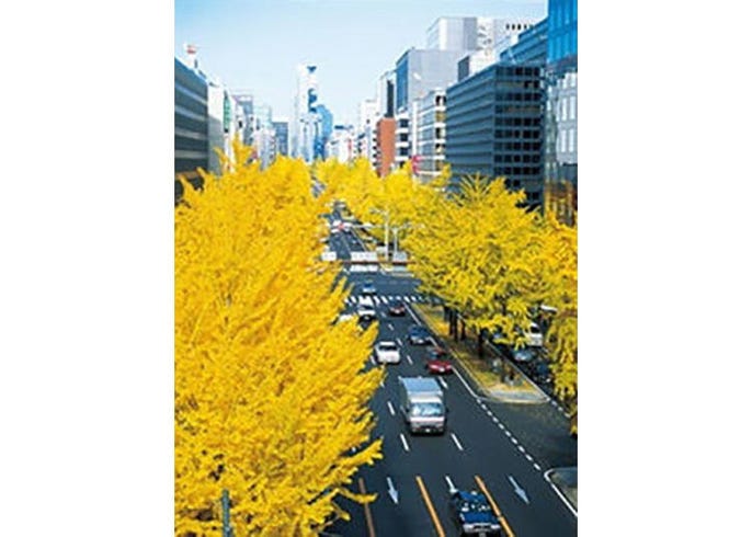 御堂筋周辺のおすすめ観光スポット グルメ 大阪人気紅葉スポット Live Japan 日本の旅行 観光 体験ガイド