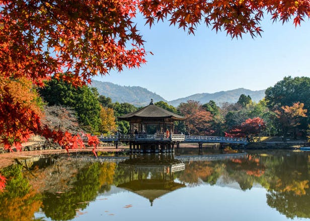奈良公園周辺のおすすめ観光スポット＆グルメ【奈良人気紅葉スポット】