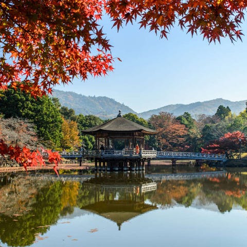 奈良 生駒 天理 Live Japan 日本の旅行 観光 体験ガイド