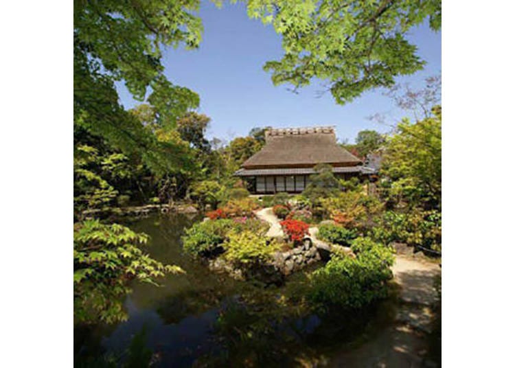 【依水園】時代が異なる２つの庭園が鑑賞できる
