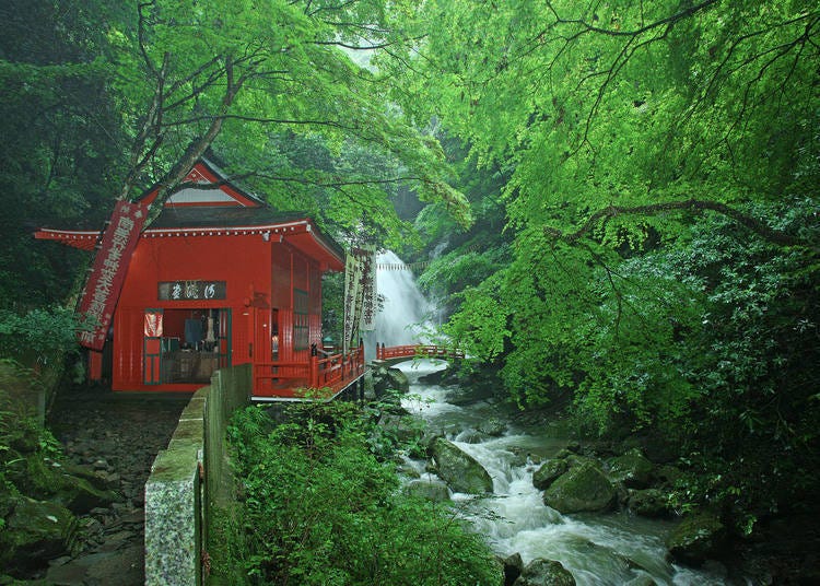 大阪近郊一日游③因温泉、登山健行而深受大家喜爱的秘境山林「犬鸣山」