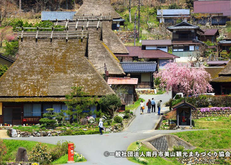 京都市内から日帰り旅行できる観光スポットまとめ