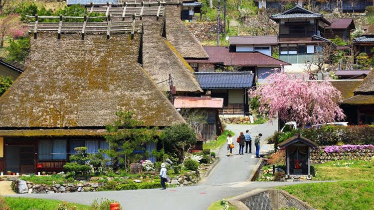 京都市内から日帰り旅行できる観光スポットまとめ