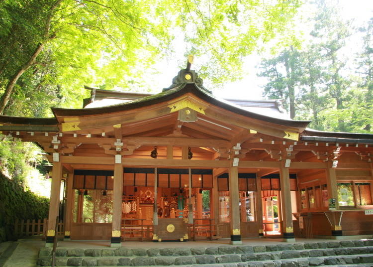 The majestic-looking main hall framed by leaves