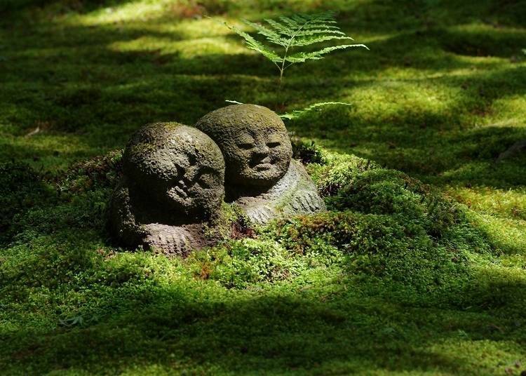 Warabe Jizō, child-like Buddha statues resting peacefully on a moss-covered ground (Photo: Takashi Sugimura)