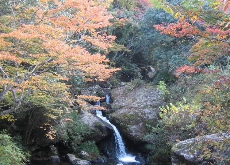 A valley waterfall that changes its appearance according to the season
