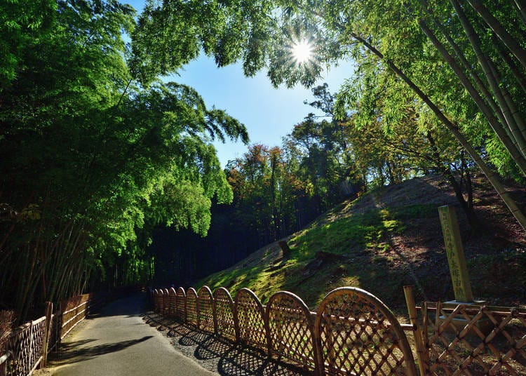 You're looking at kofungaki, a certain pattern of bamboo fencing. Eight other patterns adorn the bamboo forest here