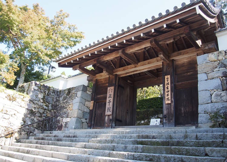 三千院的玄關。歷史悠久的寺院樓門「御殿門」