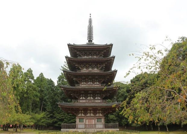 伏見稲荷大社と併せて観光したい周辺のおすすめスポットまとめ Live Japan 日本の旅行 観光 体験ガイド