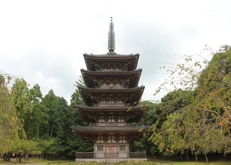 附近景點2. 世界文化遺產「醍醐寺」