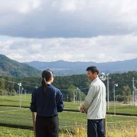 Tea Plantation Tour and Organic Green Tea Tasting in the Birthplace of Japanese Green Tea, Kyoto
Details & Bookings ▶
(Image/Activity partner: Wabunka)