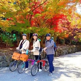 Slow Cycling Tour at Uji's Matcha Green Tea Fields and Heritage
Details & Bookings ▶
(Image/Activity partner: Viator)