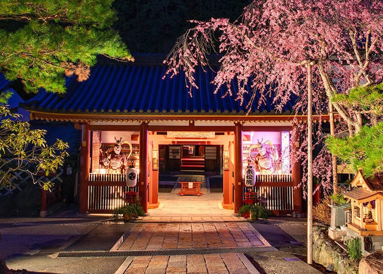 2. Sekisho-in – Unwind in a Dynamic, Lively Temple Stay!