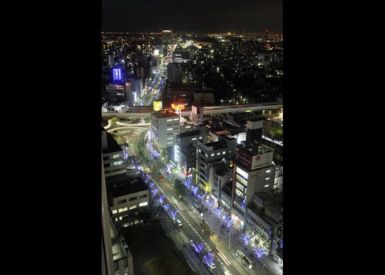 In the winter, you can also see the illuminated trees along the roadside of Oshoji-suji