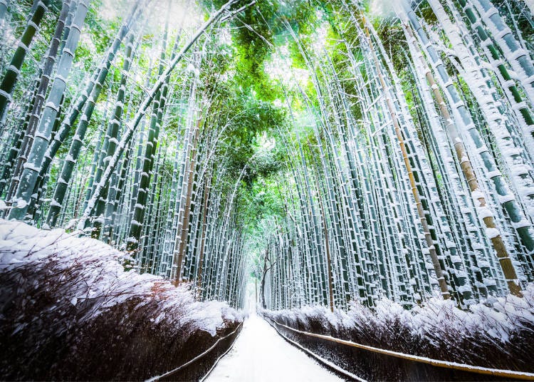 10. Arashiyama Bamboo Forest Path: An Invitation to a Mysterious World