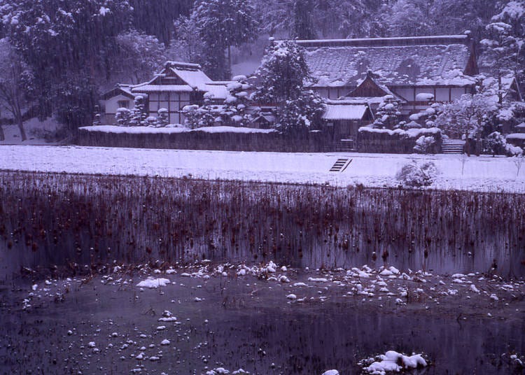 3．雪化粧をした寺の全景が美しい「楞厳寺」