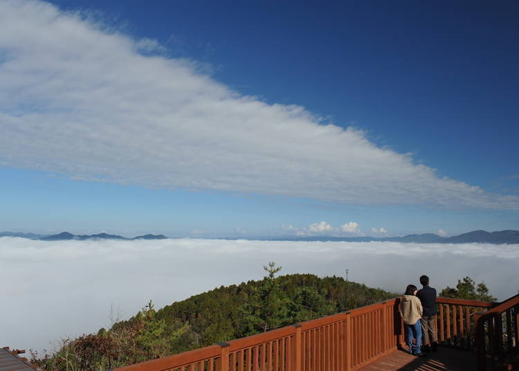 7. 可以觀看雲海的「龜岡霧之平台」