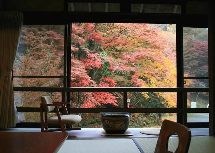 (Photo: Rakuten Travel)
