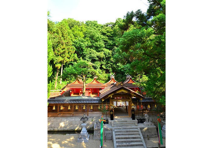 2021大阪新年參拜初詣景點10選 除了住吉大社還有這些地方 Live Japan 日本旅遊 文化體驗導覽