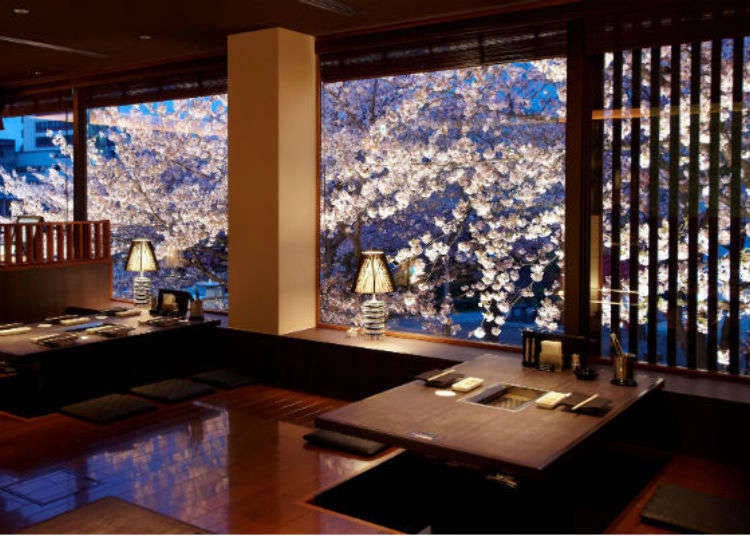 3 Kyoto Restaurants with a Cherry Blossom Backdrop