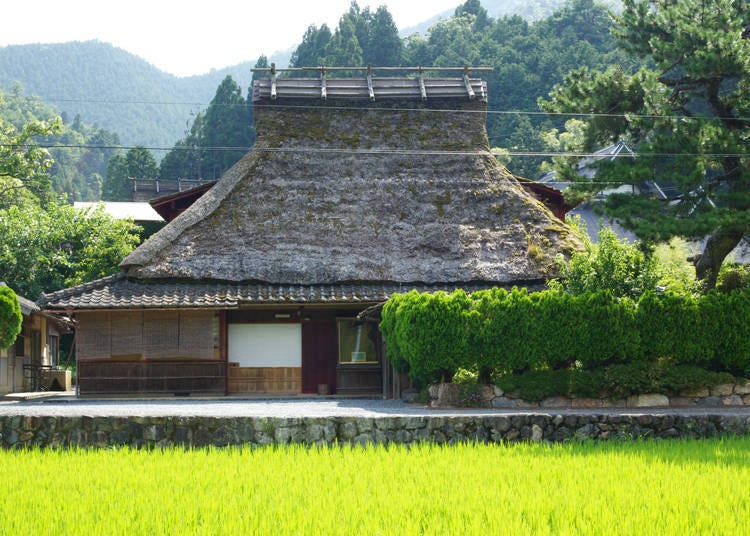 Kyoto Thatched-roof Dwellings Transport You Back in Time