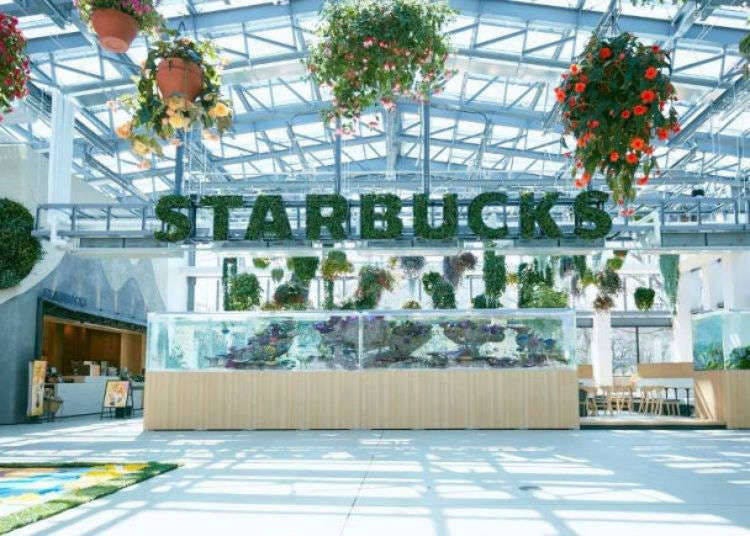 Japan's Newest Starbucks Inside a Blooming Greenhouse!