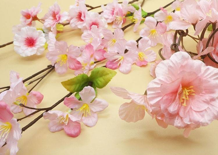The shape of the petals is different depending on the type of flower. These include the double-flowered cherry blossom and the Somei-Yoshino cherry blossom