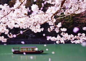 6 Incredible Ryokan & Kyoto Hotels for Cherry Blossom Season