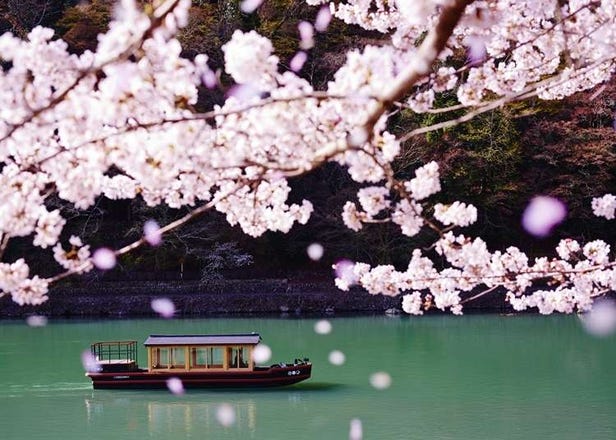 [京都]近賞櫻景點的高級飯店&旅館10選！走出門就看到櫻花