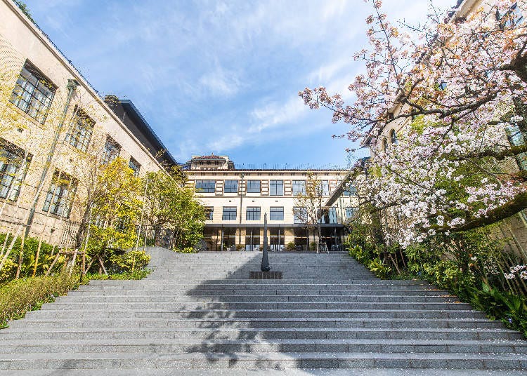 The hotel offers a unique cherry blossom experience in a converted elementary school setting.