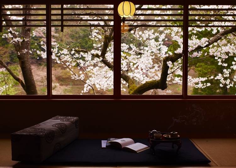 伝統建築の意匠を強く残した客室「山の端」。眼下には満開の桜 が美しい「奥の庭」も眺められる