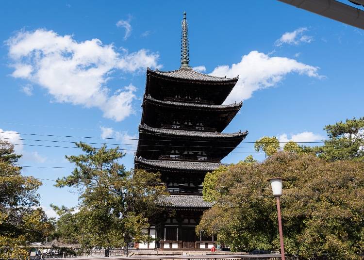 窓から興福寺の五重塔がすぐ目の前に見える部屋もあり