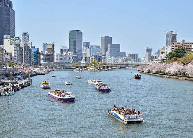 Osaka Cherry Blossom Festivals: 9 Gorgeous Events to Enjoy in 2025