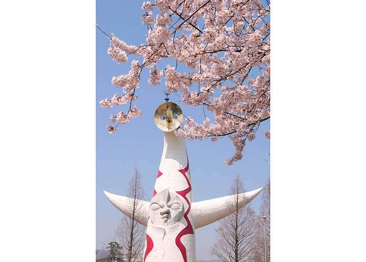 The collaboration between the Tower of the Sun and cherry blossoms is a sight unique to Expo '70 Commemorative Park