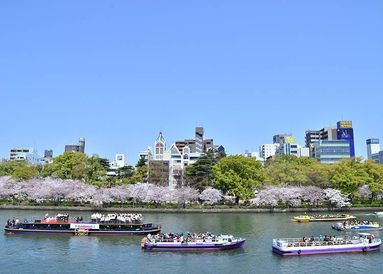 Enjoy spring at a flower-viewing spot that represents the Aqua Metropolis Osaka!