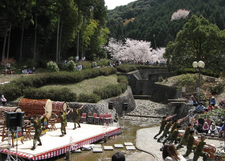 "Hanakaido Yamanakadani Cherry Blossom Festival", when Wampaku Kingdom is exciting the whole day