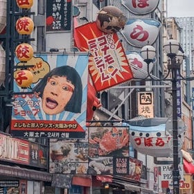 Private Osaka City Sightseeing Day Tour