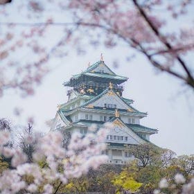 Osaka Castle 3 hours Historical Walking Tour
Details & Bookings ▶