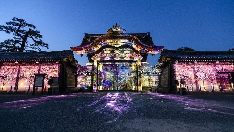 2024年京都櫻花祭！清水寺、高台寺夜間特別參拜等，活動資訊懶人包